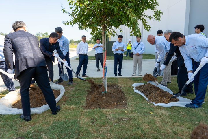 Planting a row of trees outside the plant
