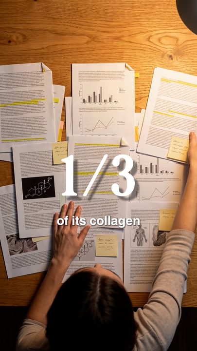 A '1/3 of its collagen' title over a desk covered in research papers